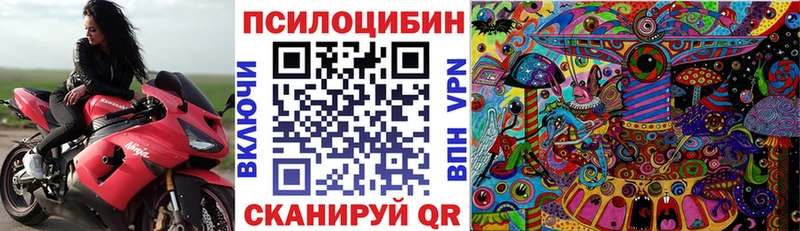 Псилоцибиновые грибы мицелий  Купить  Велиж 